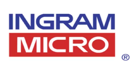 Ingram micro 300x250