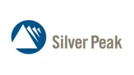 Silver peak logo 1