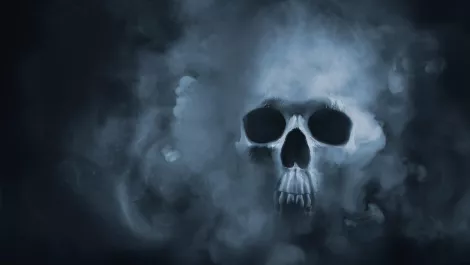 Gettyimages 998889114