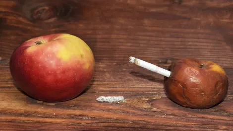 Thinkstockphotos 528290556