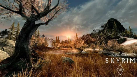 Skyrim vr pc 30