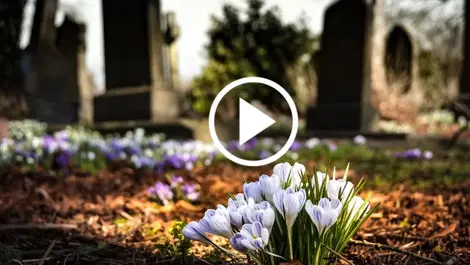 Washington legalises composting of human bodies