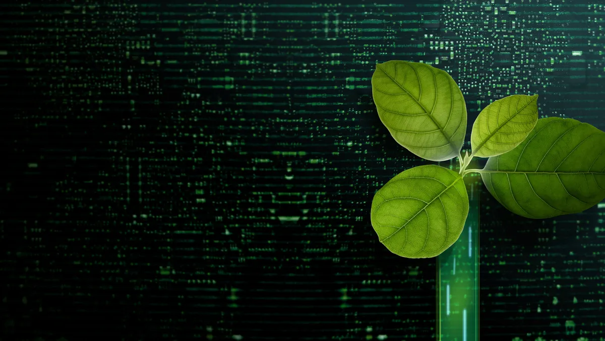How sustainable IT practices can save the environment