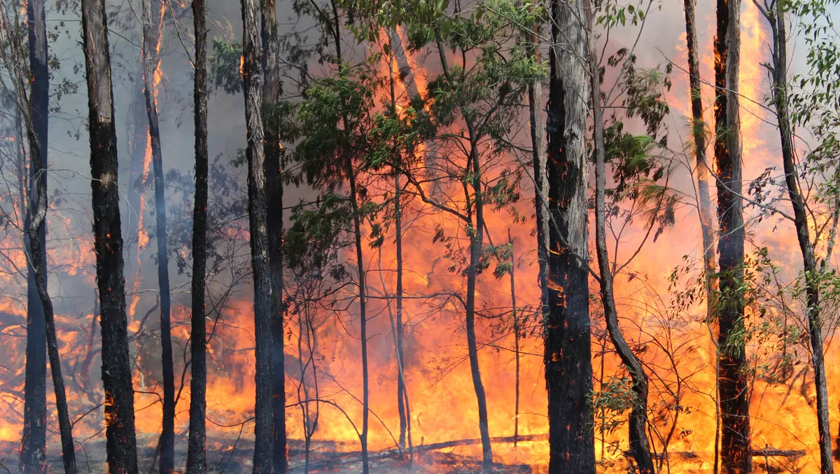 Government selects ICEYE to strengthen disaster response